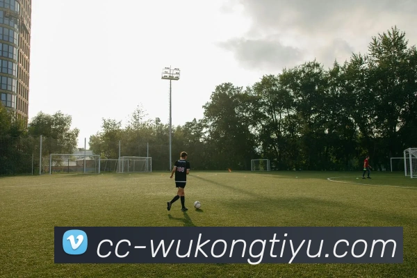 悟空体育平台生态图