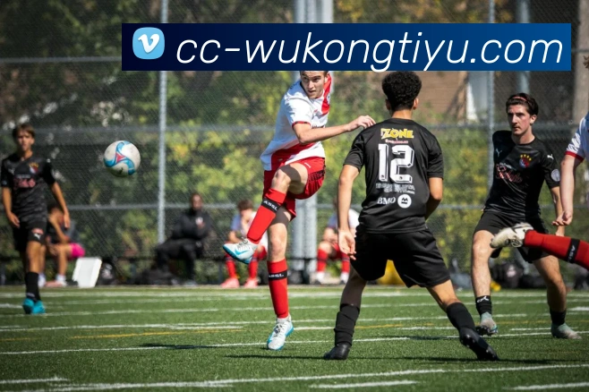 悟空体育APP 封面图